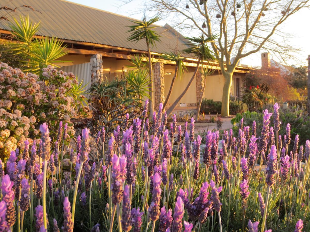 Masada Guest House Langebaan Εξωτερικό φωτογραφία